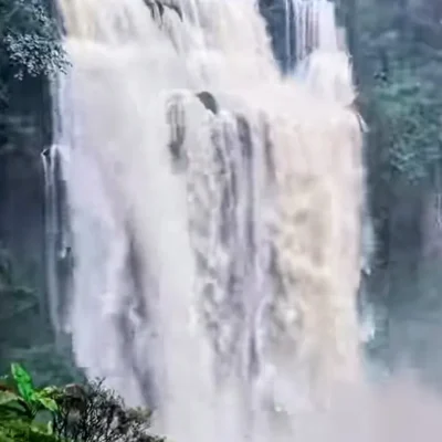 005ຕາດເຍືອງ